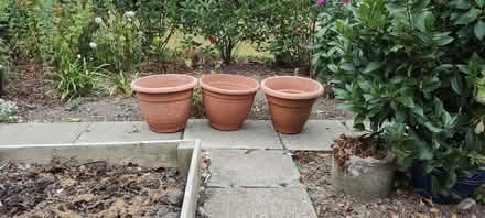 Photo of free Large plant pots (Colyton EX24) #1