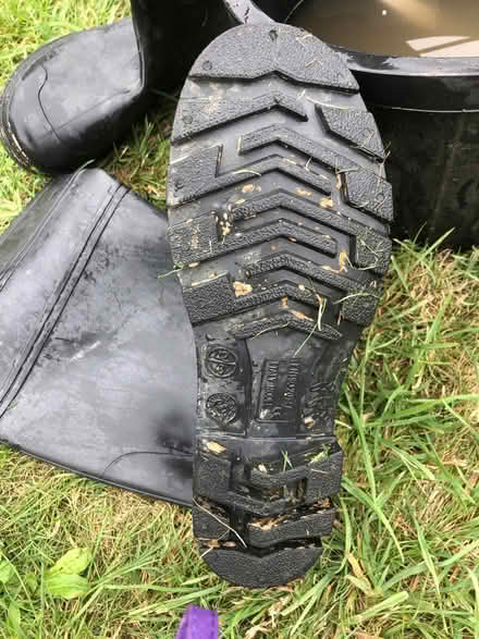 Photo of free Pair of black size 8 wellies (Abingdon OX14) #2