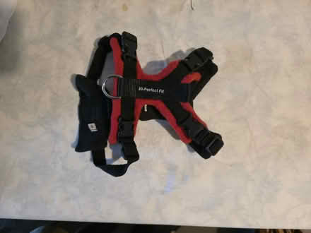 Photo of free Dog harness XS & Small underneath (BN10) #1