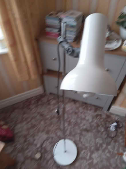 Photo of free Tall lamp (Bebington) #1