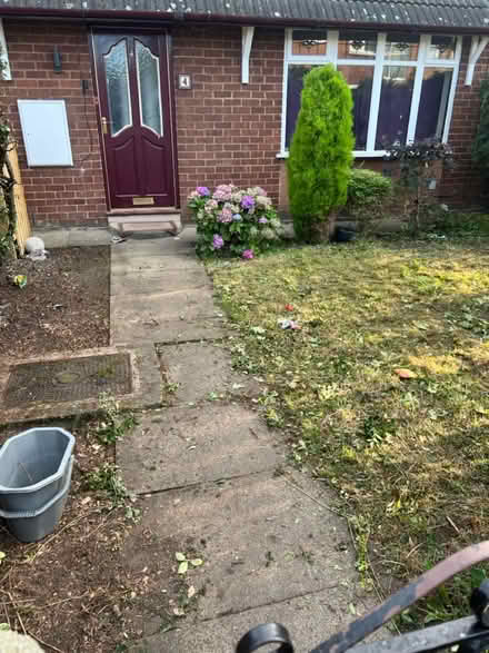 Photo of free Tree (Denton) #1