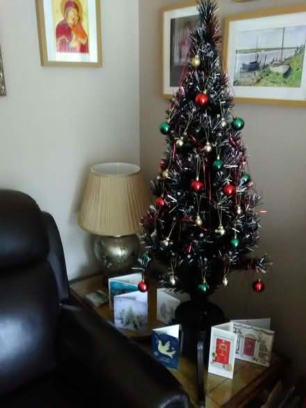 Photo of free Fibre Optic Christmas Tree (Heacham PE31) #1
