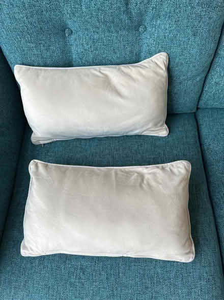 Photo of free Cushions (GL9) #1