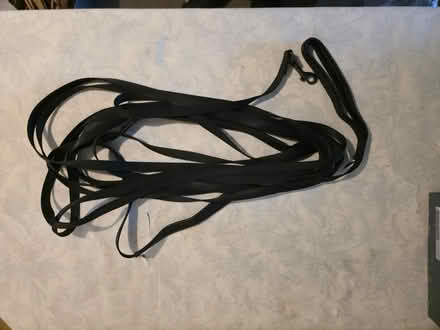 Photo of free Long training dog lead (BN10) #1