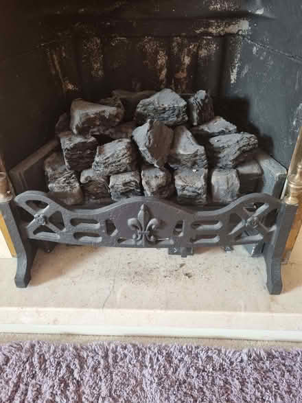 Photo of free Gas fire including basket and coals (Walton Hall Gardens WA4) #1