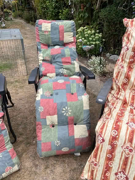 Photo of free Garden chairs (Enfield EN1) #4