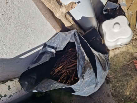 Photo of free Black sack of kindling (Eastbourne BN21) #1
