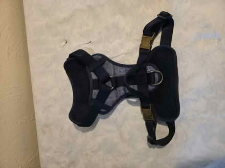 Photo of free Dog/puppy harness (BN10) #2