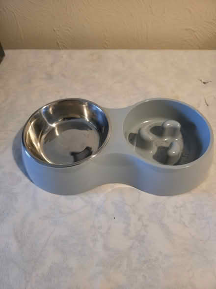Photo of free Dog/cat bowl (BN10) #1
