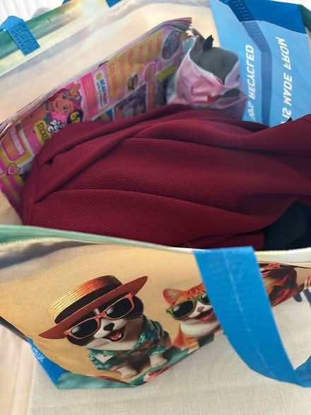 Photo of free Women’s clothes Size M/L (Brimsdown EN3) #1