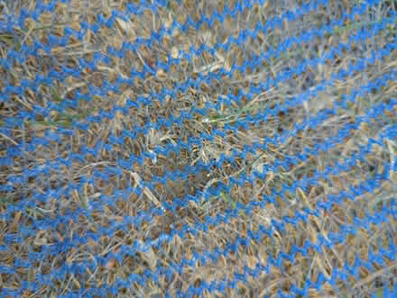 Photo of free Enormous piece of netting (Hitchin, SG5) #2