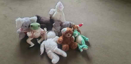 Photo of free Teddy bears / soft toys (Elmers End BR3) #1