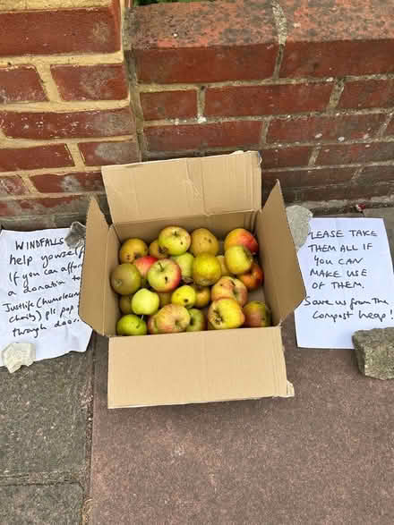 Photo of free Apples (Hollingdean BN1) #1