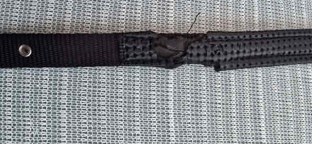 Photo of free dog collar (Seaford BN25) #2