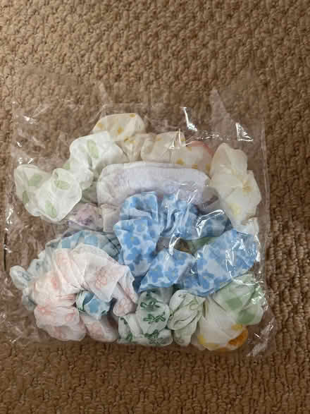 Photo of free Scrunchies (Higher Wych SY13) #1