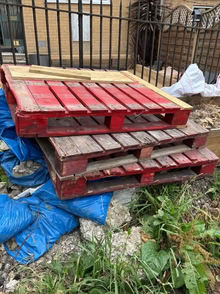 Photo of free Pallets (Central St Leonards TN38) #1