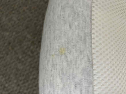 Photo of free Baby Nest (Norton S8) #3