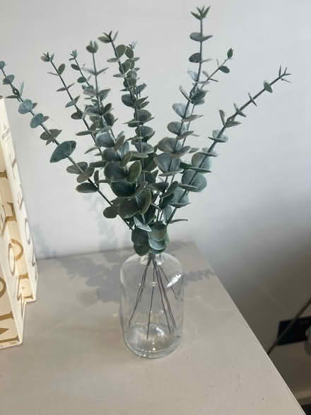 Photo of free Fake leaves in bottle vase (Hoddesdon EN11) #1