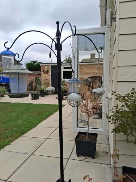 Photo of free Bird feeding station (Toftwood NR19) #1