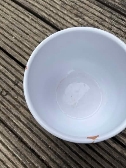 Photo of free White ceramic plant pot indoor (Ware SG12) #1