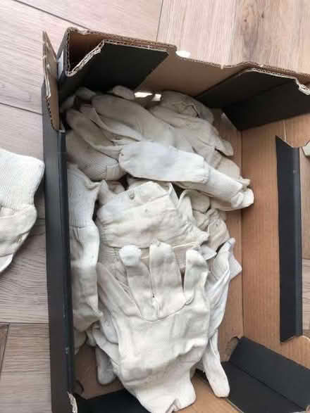 Photo of free Box of Gardening gloves (Havant PO9) #2
