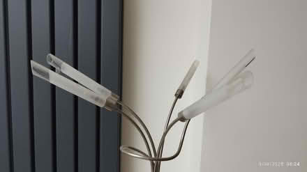 Photo of free Floor lamp (Albany park DA14) #3