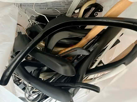 Photo of free Clothes Hangers (L18) #1