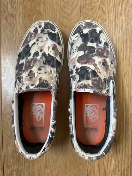 Photo of free Vans size 7 (Maidstone ME15) #1