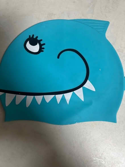Photo of free Brand new Blue Swim cap (Potters Bar EN6) #2