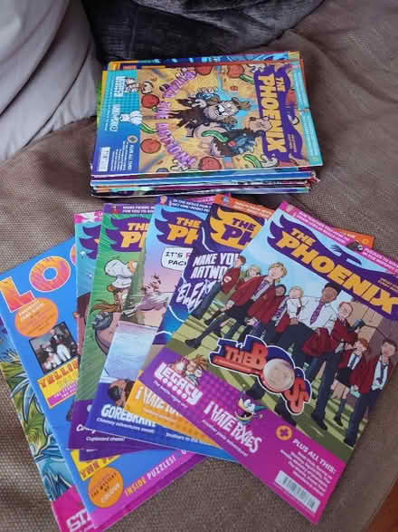 Photo of free Mostly Phoenix comic magazines (Newbury Park IG2) #3