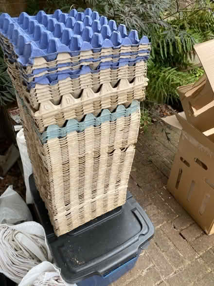Photo of free Lots of egg carton trays (Ware SG12) #1