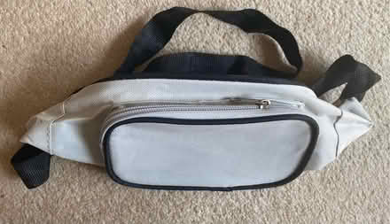 Photo of free Bum bag (Haywards Heath RH16) #2