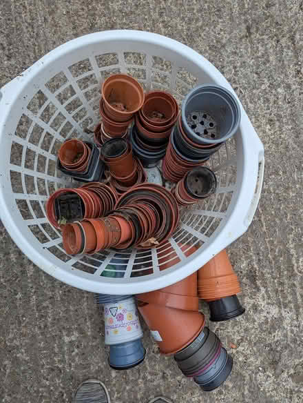 Photo of free Lot of small plastic plant pots (BD16 cottingley) #2