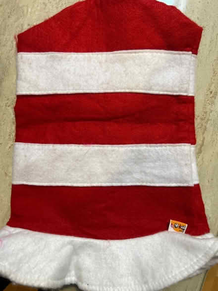 Photo of free Dr Zeus Cat in the Hat Costume (Potters Bar EN6) #3