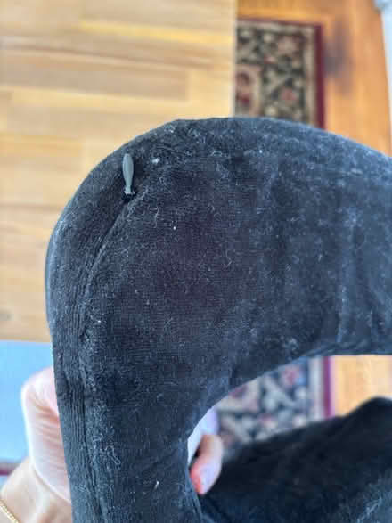 Photo of free Travel pillow (North Oakland) #4