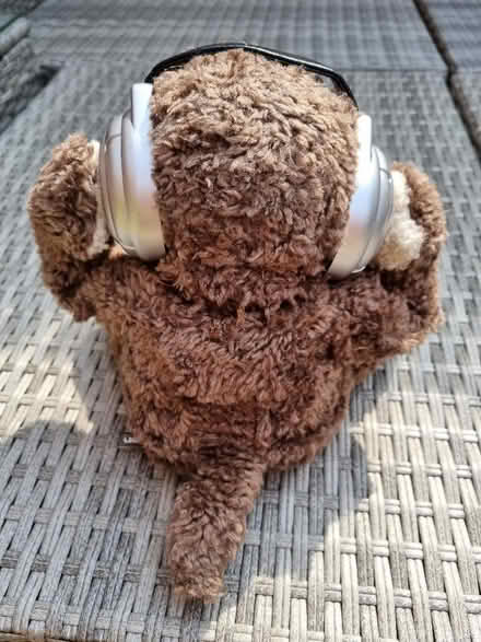 Photo of free Magic Music Dancing Monkey (Salph End MK41) #2