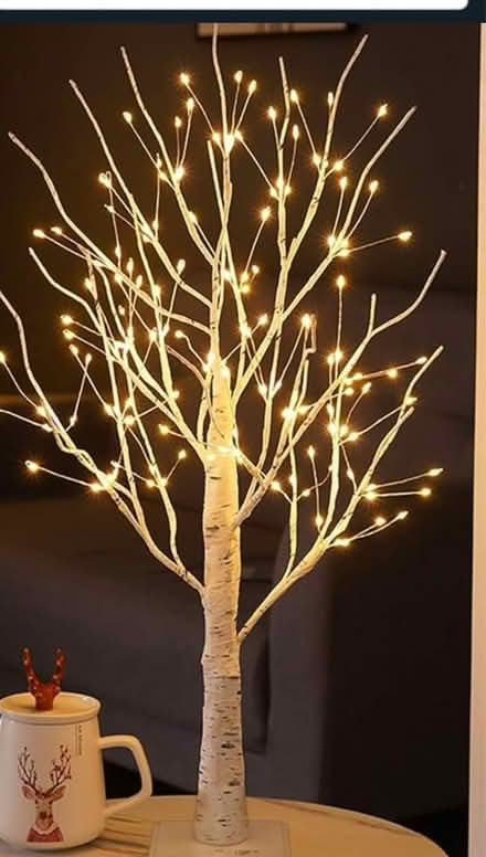 Photo of Light up tree (Oldfield Park) #1