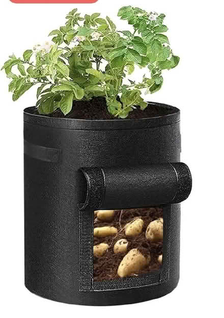 Photo of free Potato grow bag (Westgate LA4) #1
