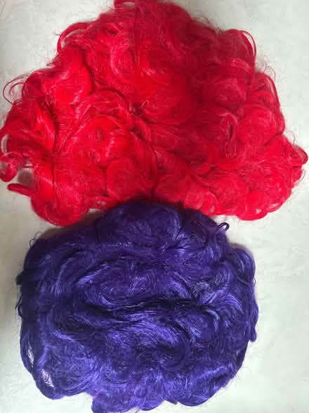 Photo of free 2 Kids Wigs (Potters Bar EN6) #1