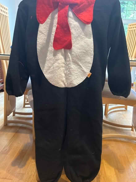 Photo of free Dr Zeus Cat in the Hat Costume (Potters Bar EN6) #1