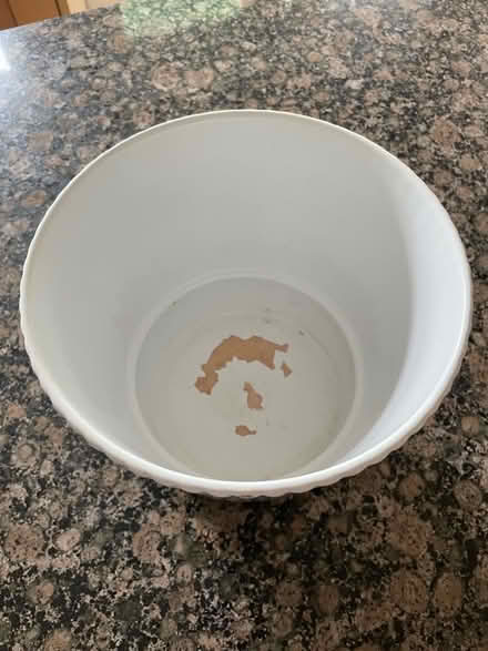 Photo of free Large White Plant Pot (Lamorbey DA15) #3