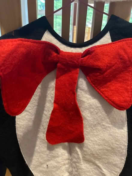 Photo of free Dr Zeus Cat in the Hat Costume (Potters Bar EN6) #2