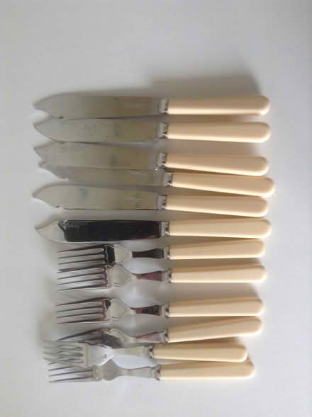 Photo of free Set of fish knives and forks (Warwick CV34, off Myton Road) #2