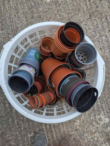 Photo of free Lot of small plastic plant pots (BD16 cottingley) #1
