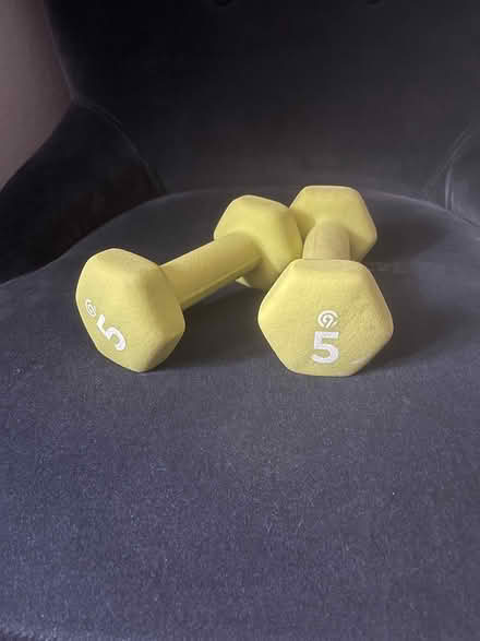 Photo of free Free weights (Jersey City) #1