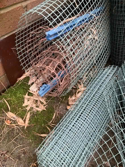 Photo of free Plastic netting (Ormskirk L39) #3