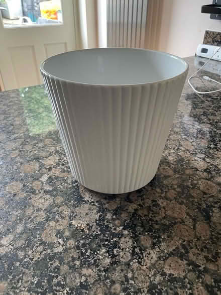 Photo of free Large White Plant Pot (Lamorbey DA15) #1