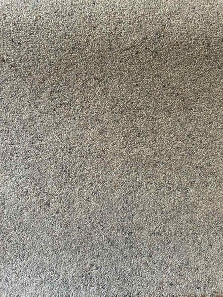 Photo of free New piece of carpet (Maidenhead, SL6) #3