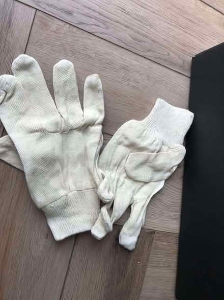 Photo of free Box of Gardening gloves (Havant PO9) #1
