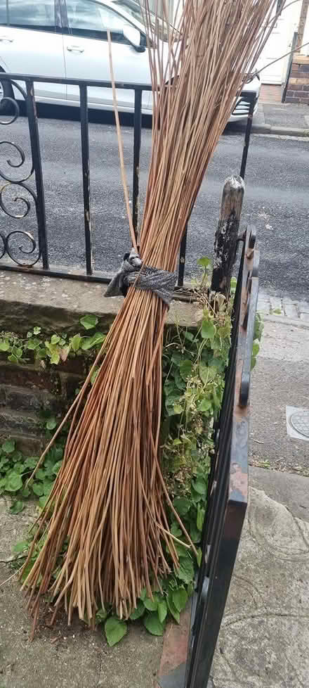 Photo of free Willow bundle (BS5) #2